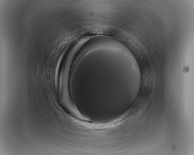 X0000098130031200804171533