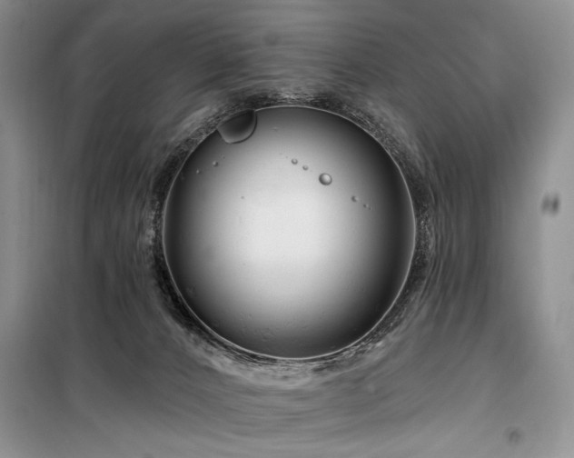 X0000098130032200804171533