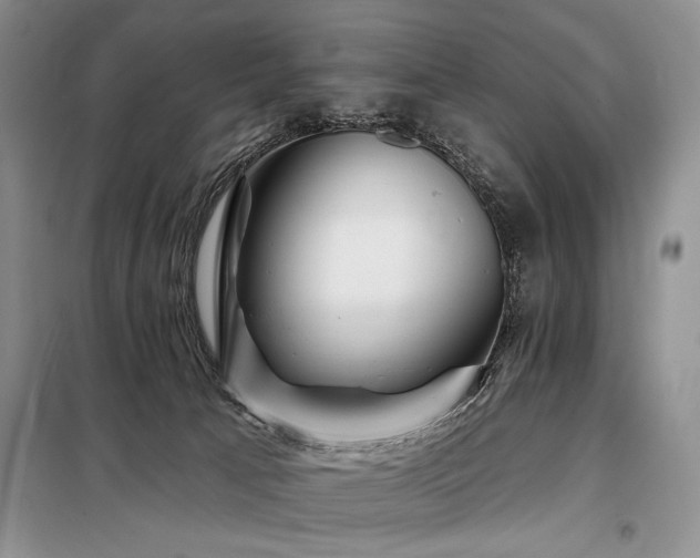X0000098130033200804171533