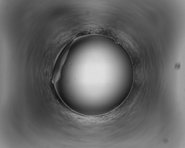 X0000098130034200804171533