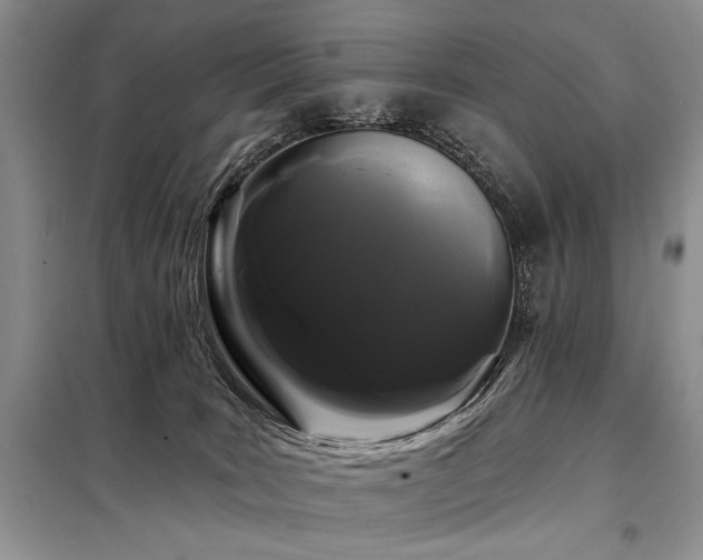 X0000098130035200804171533