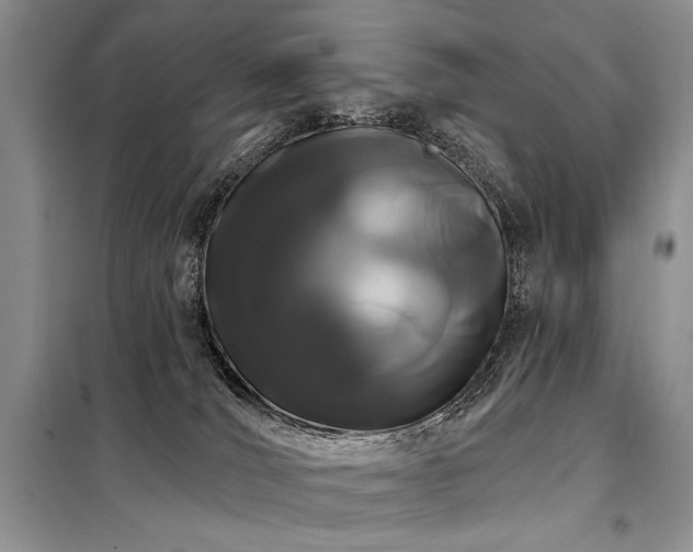 X0000098130036200804171533