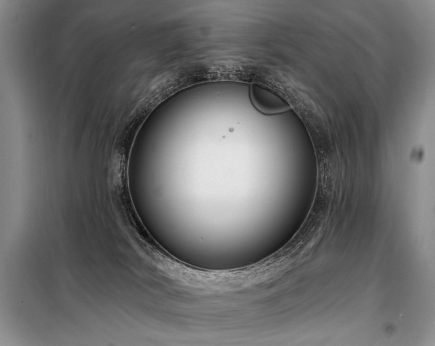 X0000098130038200804171533