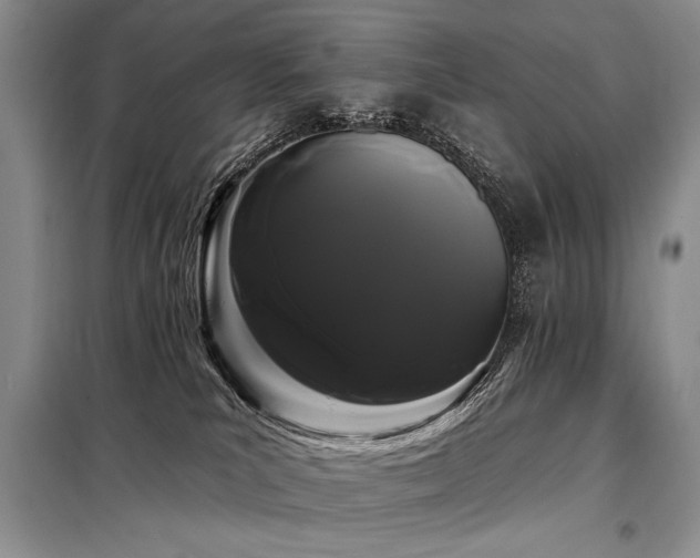 X0000098130039200804171533