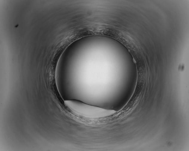X0000098130040200804171533