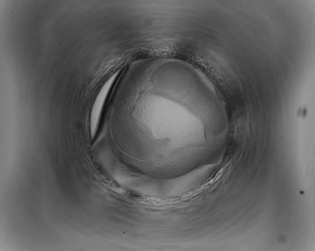 X0000098130041200804171533