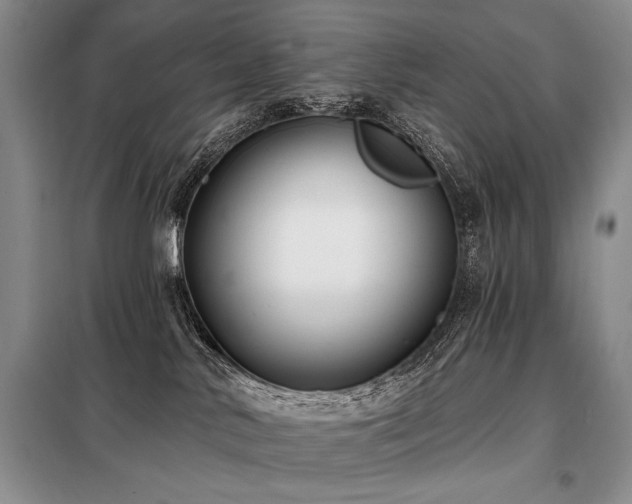 X0000098130042200804171533