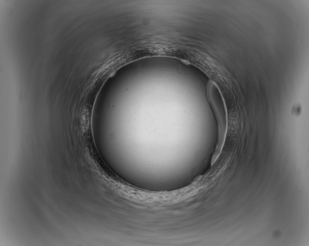 X0000098130043200804171533