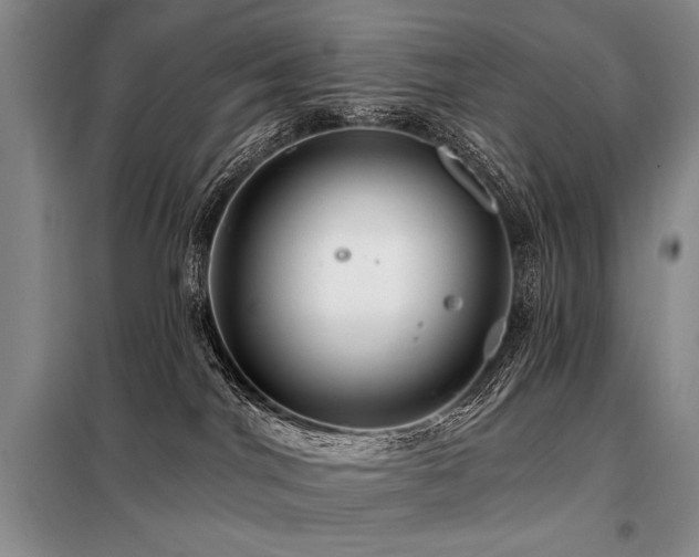 X0000098130044200804171533