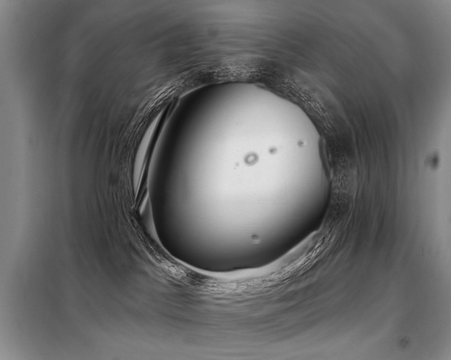 X0000098130045200804171533