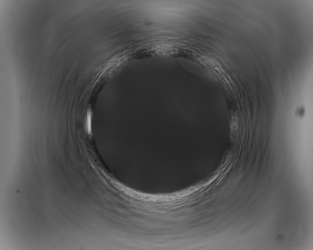 X0000098130046200804171533