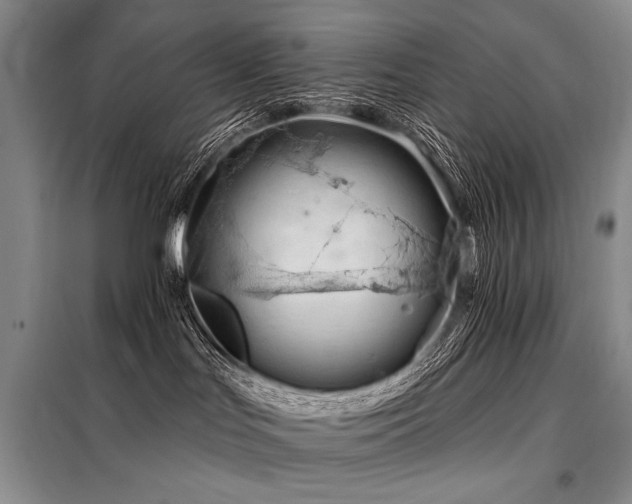 X0000098130047200804171533