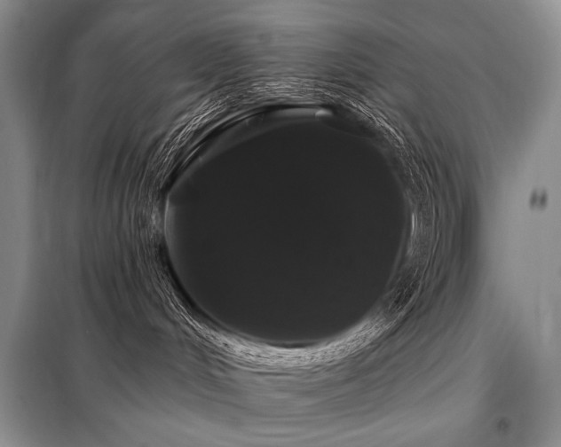 X0000098130048200804171533