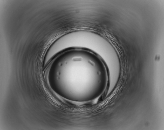 X0000098130049200804171532