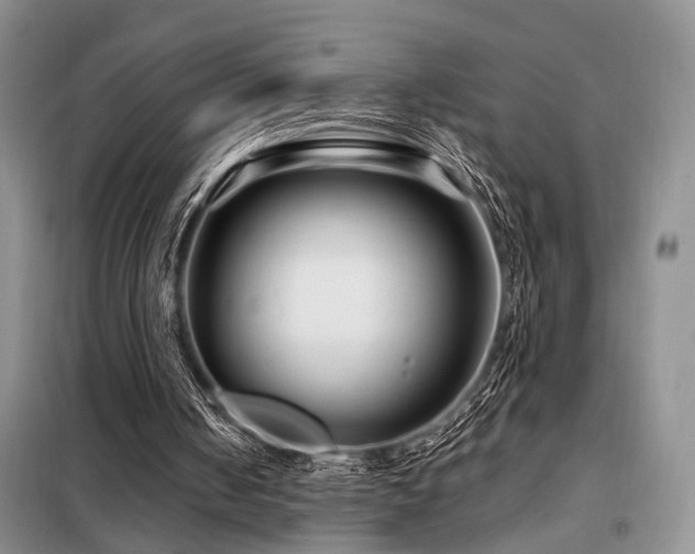 X0000098130050200804171532
