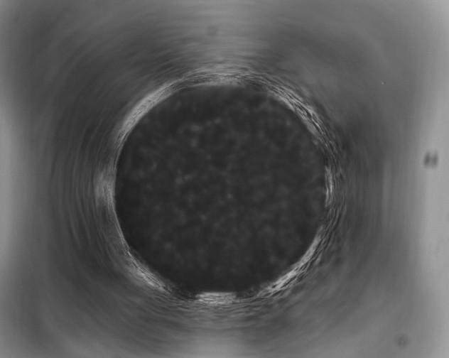 X0000098130051200804171532