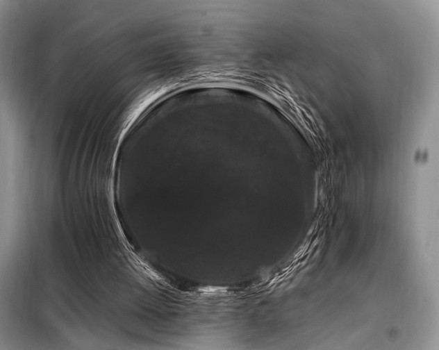 X0000098130052200804171532