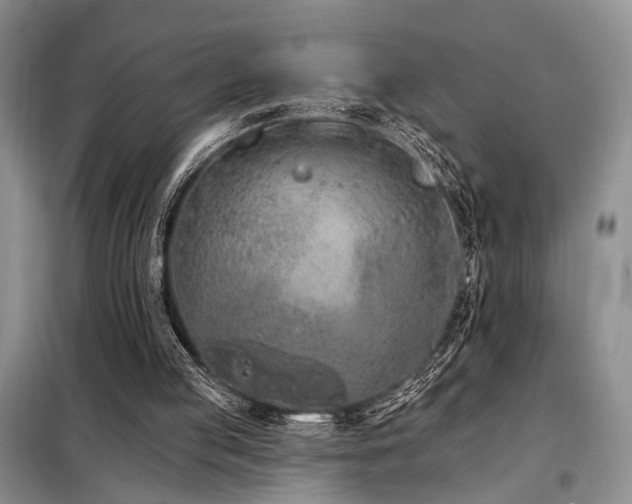 X0000098130053200804171532