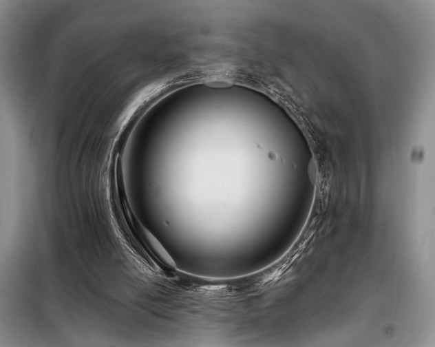 X0000098130054200804171532