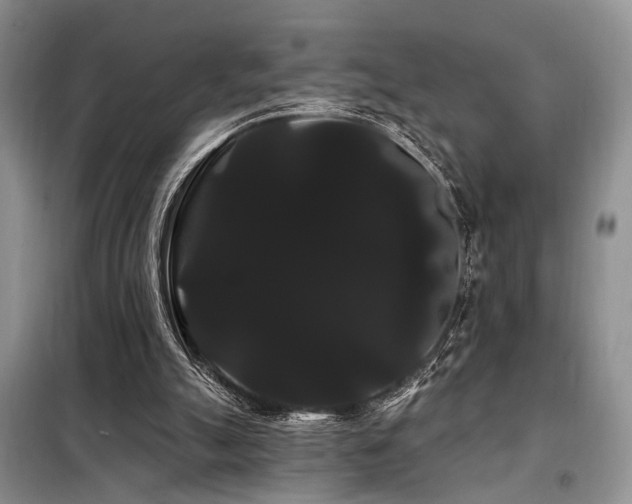 X0000098130055200804171532