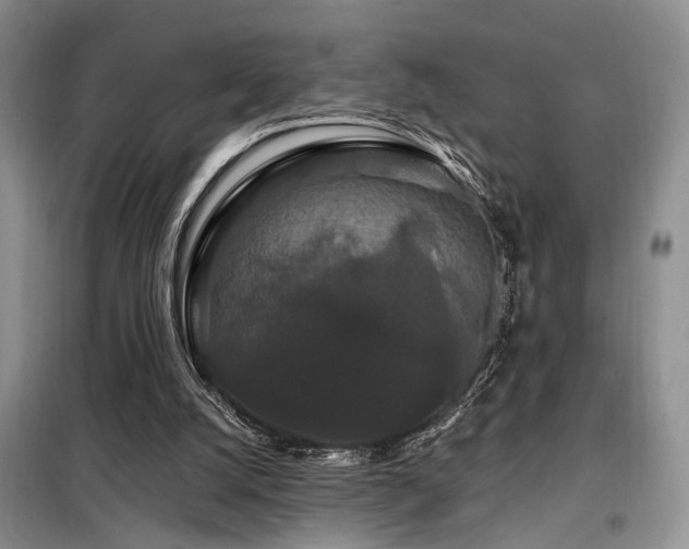 X0000098130056200804171532