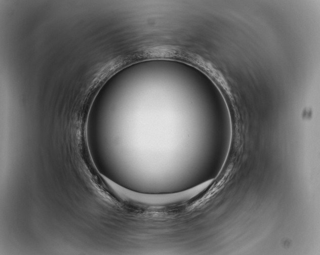 X0000098130057200804171532