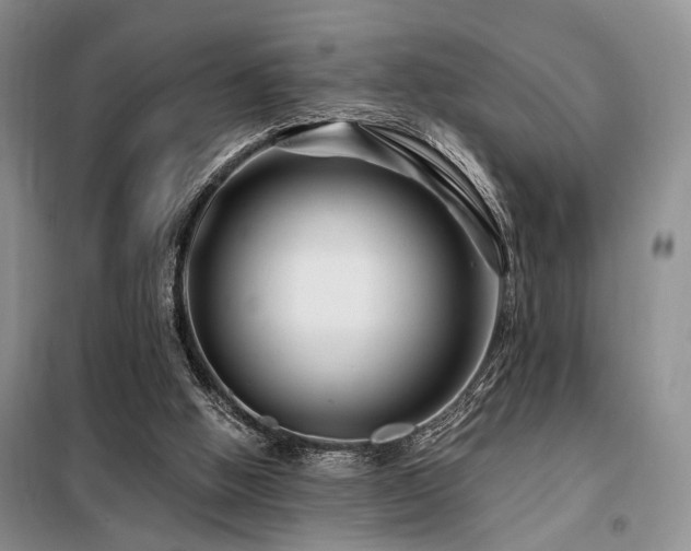 X0000098130058200804171532