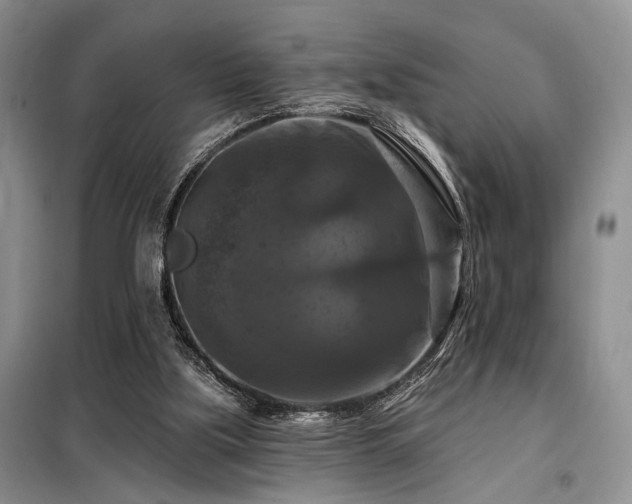 X0000098130059200804171532