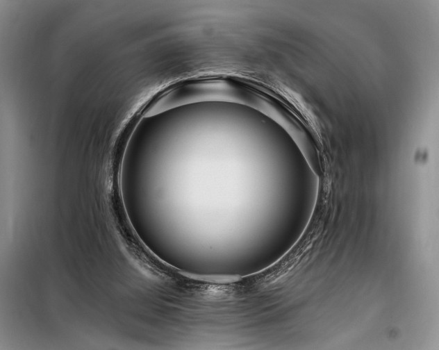 X0000098130060200804171532