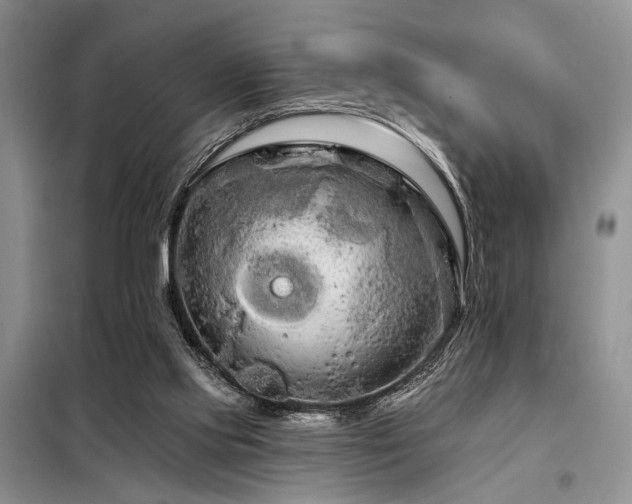 X0000098130061200804171532