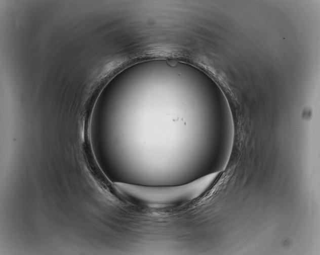 X0000098130062200804171532