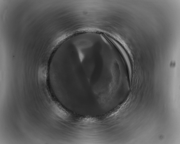 X0000098130063200804171532