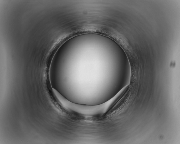 X0000098130064200804171532