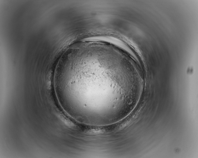 X0000098130065200804171532