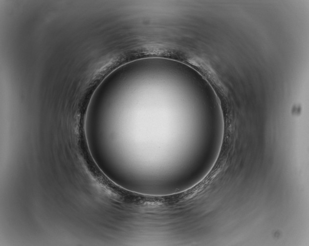 X0000098130066200804171532