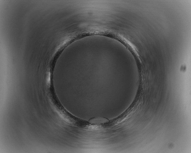 X0000098130067200804171532