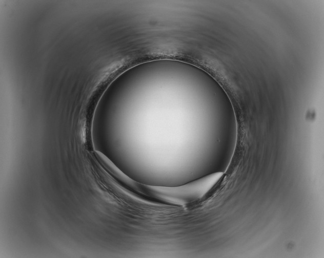 X0000098130068200804171532