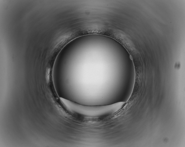 X0000098130070200804171532