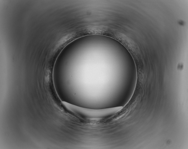 X0000098130071200804171532