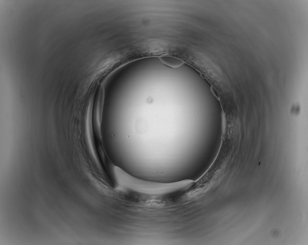X0000098130072200804171532