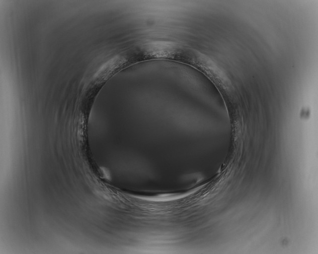 X0000098130073200804171532