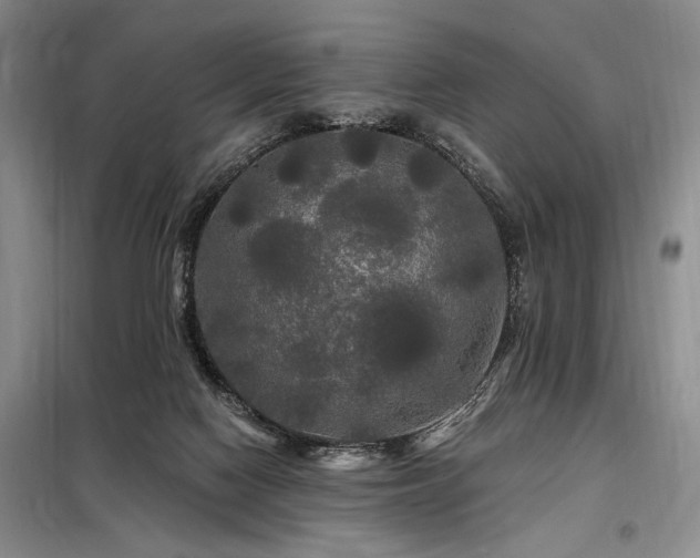 X0000098130074200804171532