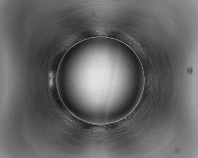 X0000098130075200804171532