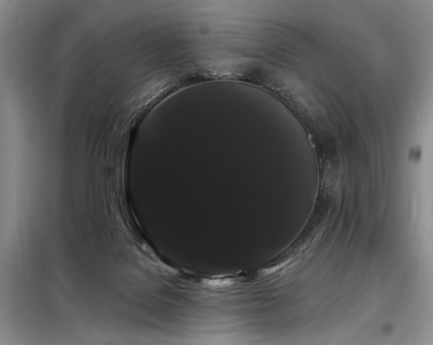 X0000098130076200804171532