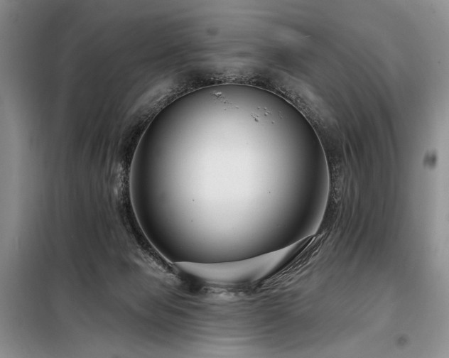 X0000098130077200804171532