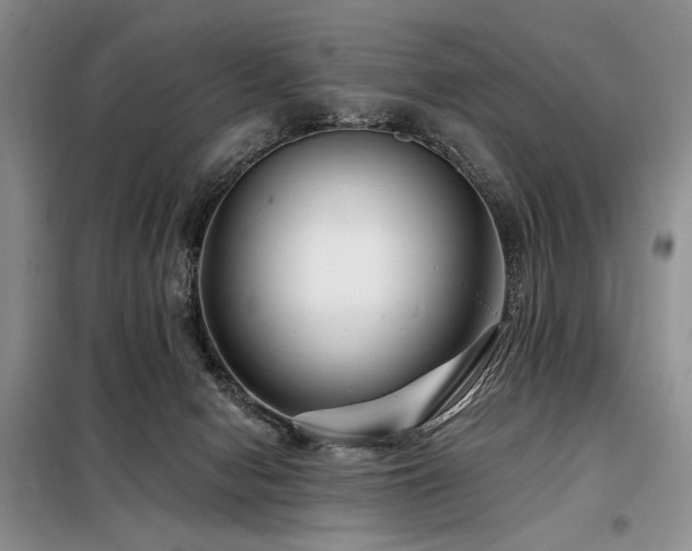 X0000098130078200804171532