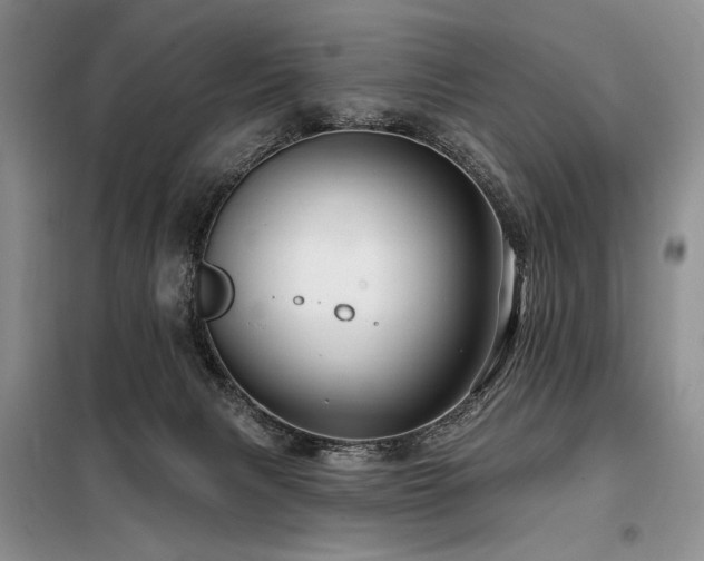 X0000098130079200804171532