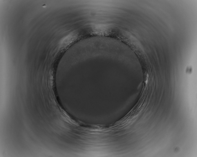 X0000098130080200804171532