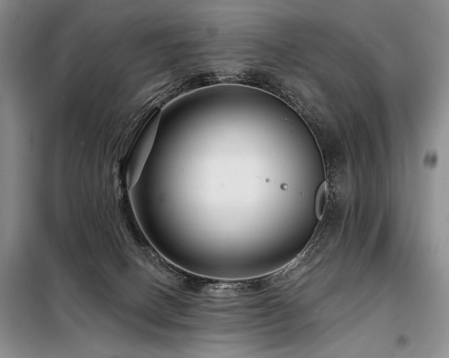 X0000098130082200804171532