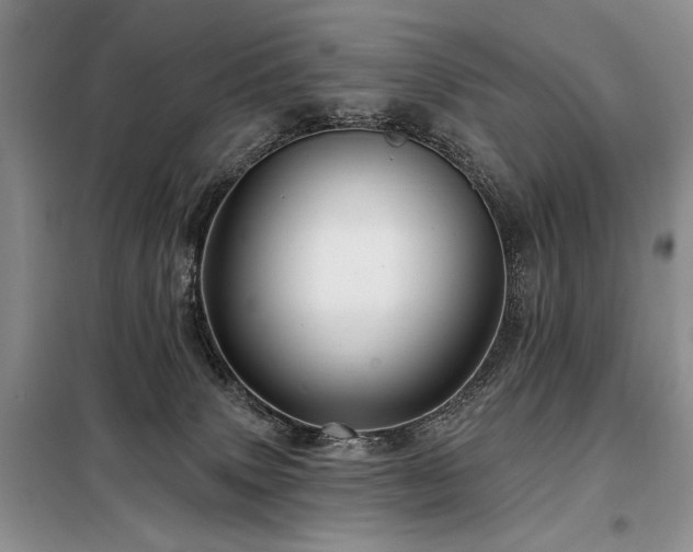 X0000098130083200804171532